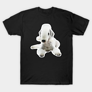 Bedlington Terrier T-Shirt